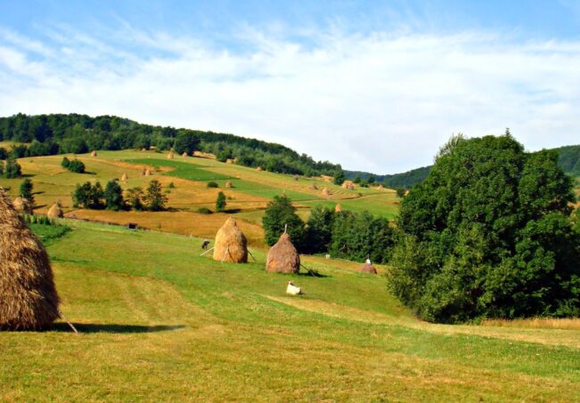 why visit transylvania